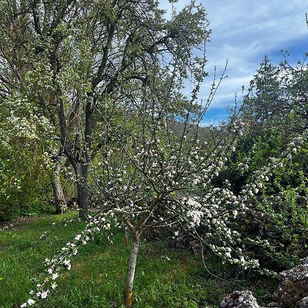 El Pecu Casa Rural Starfamiliar Bustillo Del Paramo Exteriér fotografie